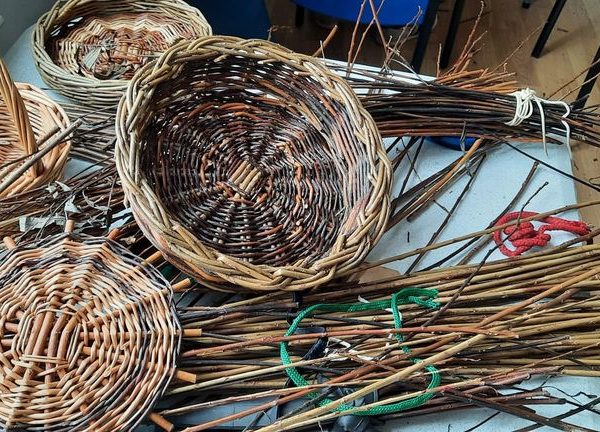 Willow Basket Weaving